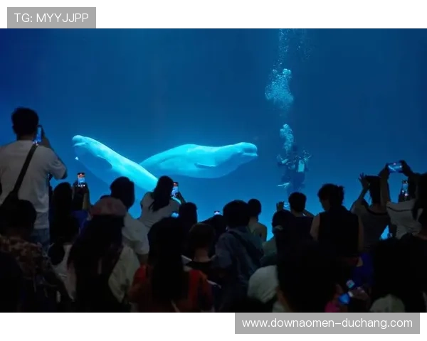 在海洋之神娱乐官网中体验多样娱乐游戏尽享海洋世界的无限精彩