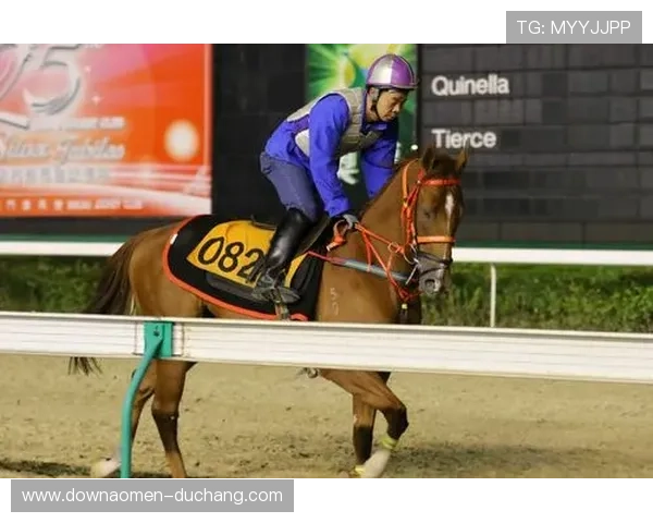 深入理解澳门赛马规则：公共安全、奖奖金及参赛资格指引